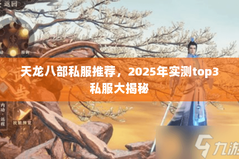 天龙八部私服推荐,2025年实测top3私服大揭秘 天龙八部私服推荐,2025年实测top3私服大揭秘