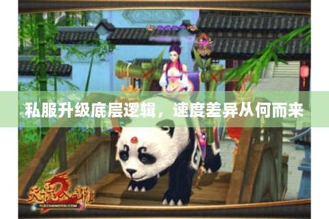 私服升级底层逻辑，速度差异从何而来