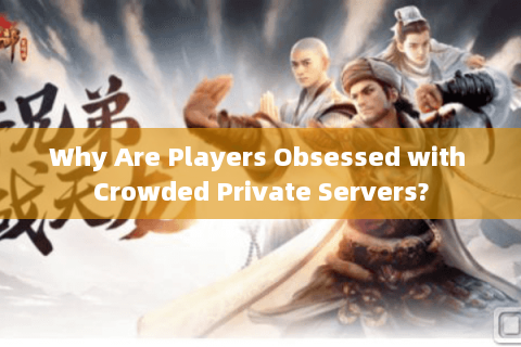 Why Are Players Obsessed with Crowded Private Servers?