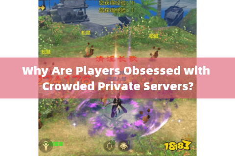 Why Are Players Obsessed with Crowded Private Servers? Why Are Players Obsessed with Crowded Private Servers?
