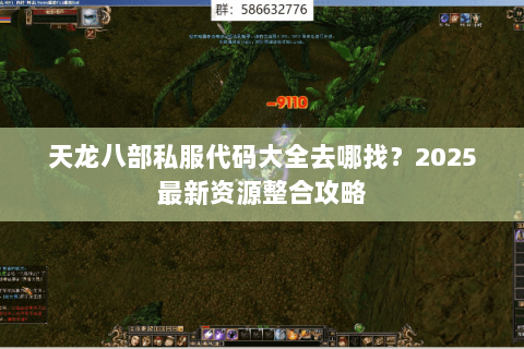 天龙八部私服代码大全去哪找?2025最新资源整合攻略 天龙八部私服代码大全去哪找?2025最新资源整合攻略