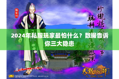 2024年私服玩家最怕什么?数据告诉你三大隐患 2024年私服玩家最怕什么?数据告诉你三大隐患