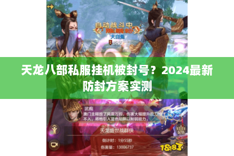 天龙八部私服挂机被封号？2024最新防封方案实测