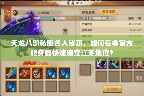 天龙八部私服名人秘籍，如何在非官方服务器快速建立江湖地位？