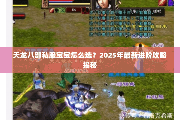 天龙八部私服宝宝怎么选?2025年最新进阶攻略揭秘 天龙八部私服宝宝怎么选?2025年最新进阶攻略揭秘