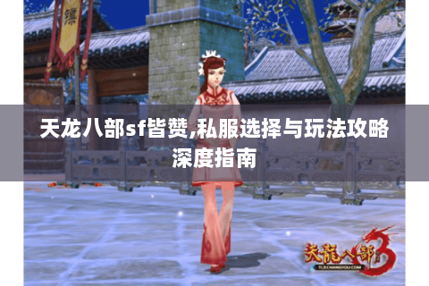 天龙八部sf皆赞,私服选择与玩法攻略深度指南