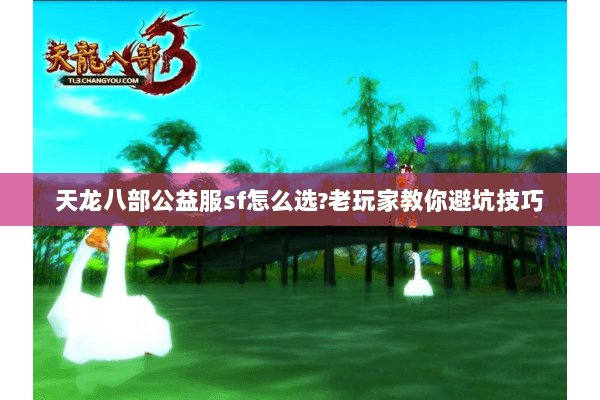天龙八部公益服sf怎么选?老玩家教你避坑技巧