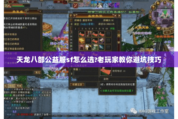 天龙八部公益服sf怎么选?老玩家教你避坑技巧 天龙八部公益服sf怎么选?老玩家教你避坑技巧