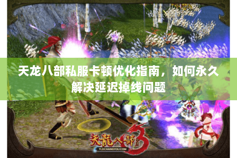 天龙八部私服卡顿优化指南，如何永久解决延迟掉线问题