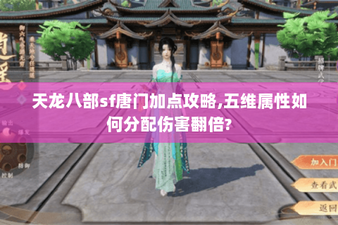 天龙八部sf唐门加点攻略,五维属性如何分配伤害翻倍?