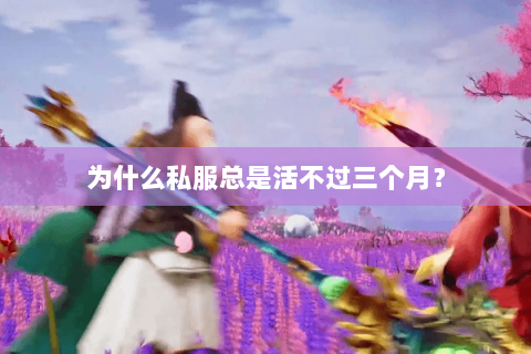 为什么私服总是活不过三个月？