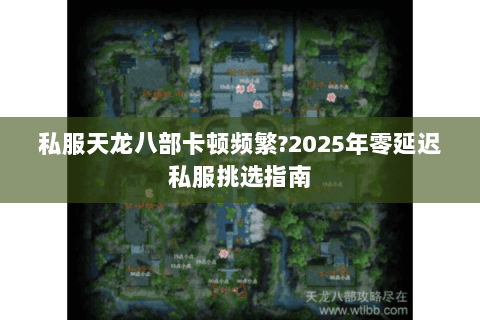 私服天龙八部卡顿频繁?2025年零延迟私服挑选指南