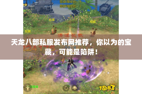 天龙八部私服发布网推荐，你以为的宝藏，可能是陷阱！