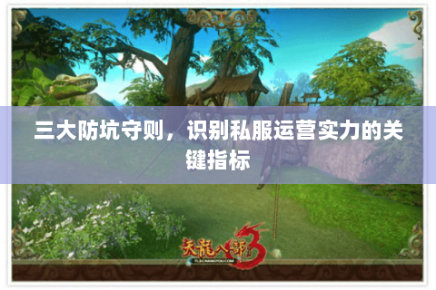 三大防坑守则，识别私服运营实力的关键指标