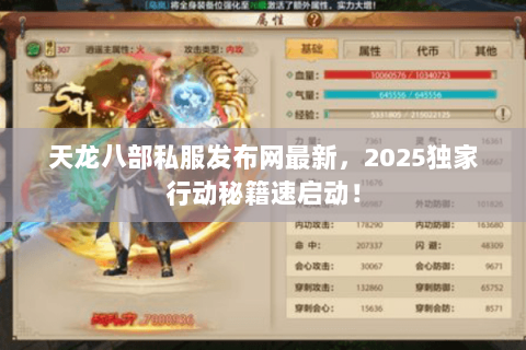 天龙八部私服发布网最新，2025独家行动秘籍速启动！