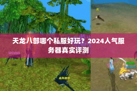 天龙八部哪个私服好玩?2024人气服务器真实评测 天龙八部哪个私服好玩?2024人气服务器真实评测