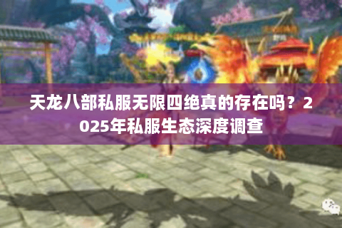 天龙八部私服无限四绝真的存在吗？2025年私服生态深度调查