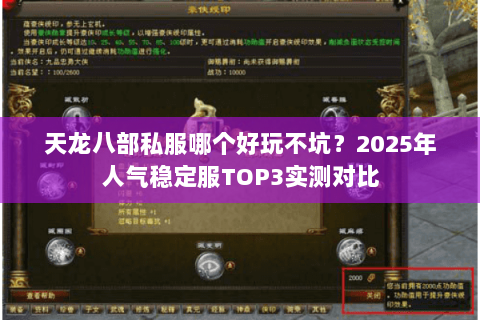天龙八部私服哪个好玩不坑？2025年人气稳定服TOP3实测对比