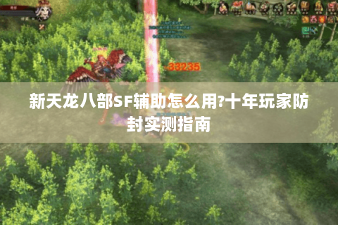 新天龙八部SF辅助怎么用?十年玩家防封实测指南