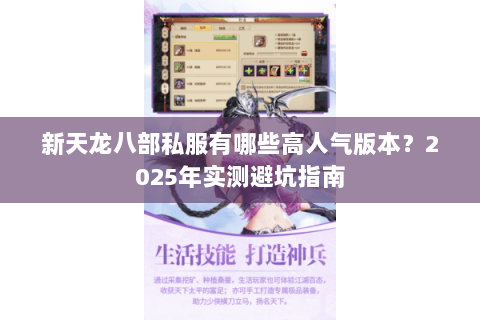 新天龙八部私服有哪些高人气版本？2025年实测避坑指南