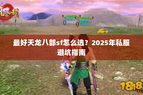 最好天龙八部sf怎么选？2025年私服避坑指南