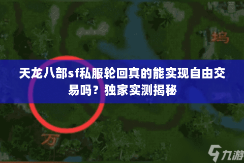天龙八部sf私服轮回真的能实现自由交易吗？独家实测揭秘