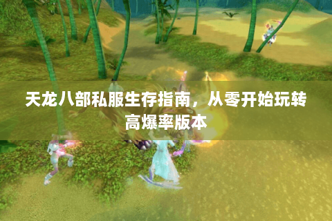 天龙八部私服生存指南，从零开始玩转高爆率版本