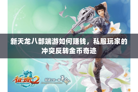 新天龙八部端游如何赚钱，私服玩家的冲突反转金币奇迹