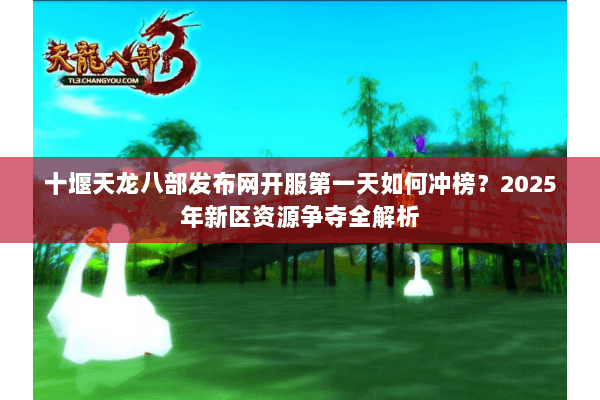 十堰天龙八部发布网开服第一天如何冲榜?2025年新区资源争夺全解析 十堰天龙八部发布网开服第一天如何冲榜?2025年新区资源争夺全解析