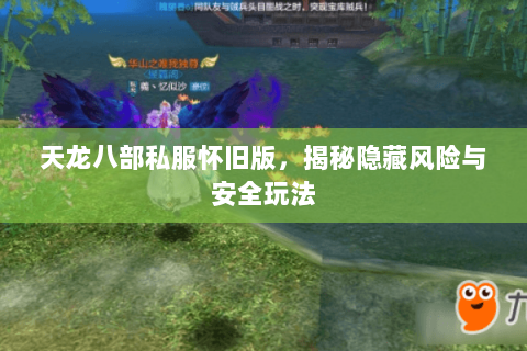 天龙八部私服怀旧版,揭秘隐藏风险与安全玩法 天龙八部私服怀旧版,揭秘隐藏风险与安全玩法