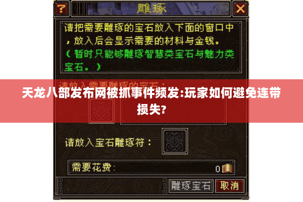 天龙八部发布网被抓事件频发:玩家如何避免连带损失? 天龙八部发布网被抓事件频发:玩家如何避免连带损失?