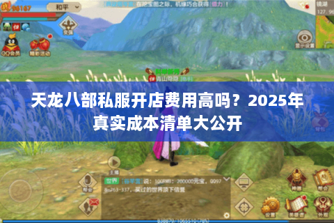 天龙八部私服开店费用高吗?2025年真实成本清单大公开 天龙八部私服开店费用高吗?2025年真实成本清单大公开