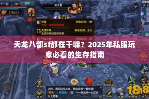 天龙八部sf都在干嘛？2025年私服玩家必看的生存指南