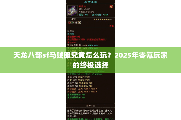 天龙八部sf马贼服究竟怎么玩？2025年零氪玩家的终极选择