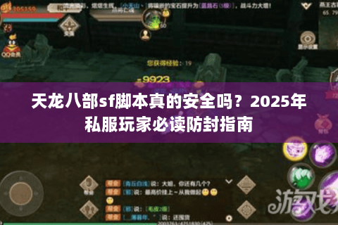 天龙八部sf脚本真的安全吗？2025年私服玩家必读防封指南