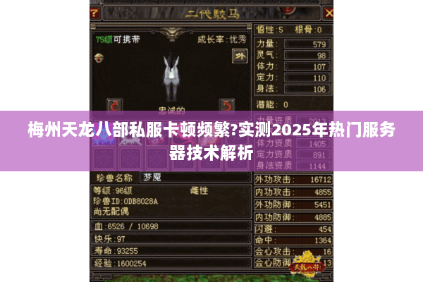 梅州天龙八部私服卡顿频繁?实测2025年热门服务器技术解析 梅州天龙八部私服卡顿频繁?实测2025年热门服务器技术解析