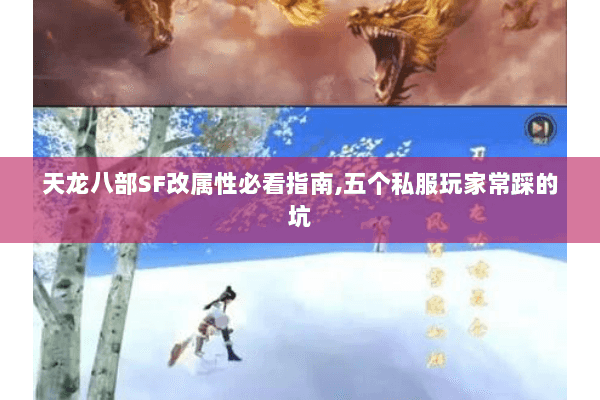 天龙八部SF改属性必看指南,五个私服玩家常踩的坑 天龙八部SF改属性必看指南,五个私服玩家常踩的坑