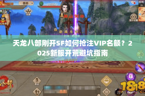天龙八部刚开SF如何抢注VIP名额？2025新服开荒避坑指南