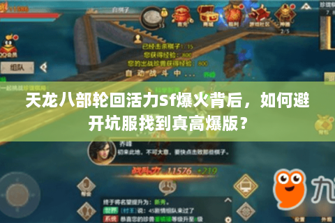 天龙八部轮回活力Sf爆火背后,如何避开坑服找到真高爆版? 天龙八部轮回活力Sf爆火背后,如何避开坑服找到真高爆版?