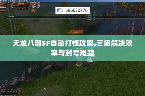 天龙八部SF自动打怪攻略,三招解决效率与封号难题
