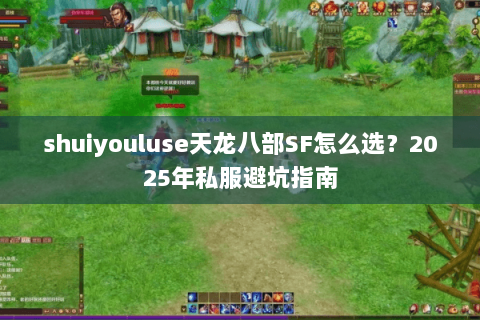 shuiyouluse天龙八部SF怎么选？2025年私服避坑指南