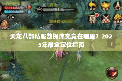天龙八部私服数据库究竟在哪里？2025年最全定位指南