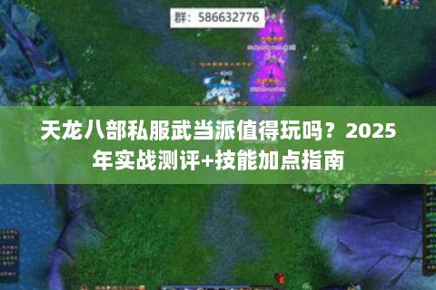 天龙八部私服武当派值得玩吗？2025年实战测评+技能加点指南