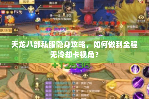 天龙八部私服隐身攻略,如何做到全程无冷却卡视角? 天龙八部私服隐身攻略,如何做到全程无冷却卡视角?