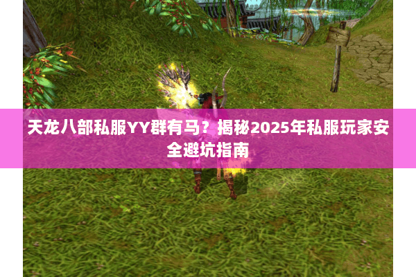 天龙八部私服YY群有马？揭秘2025年私服玩家安全避坑指南