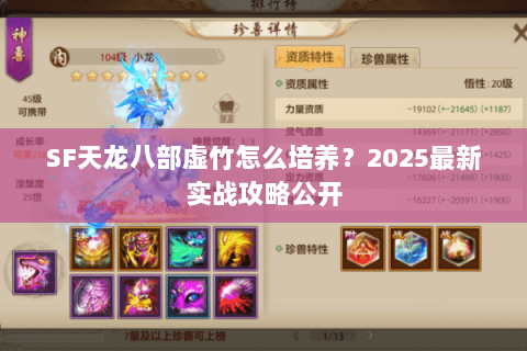 SF天龙八部虚竹怎么培养?2025最新实战攻略公开 SF天龙八部虚竹怎么培养?2025最新实战攻略公开