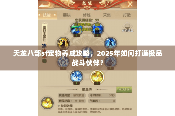 天龙八部sf宠物养成攻略,2025年如何打造极品战斗伙伴? 天龙八部sf宠物养成攻略,2025年如何打造极品战斗伙伴?