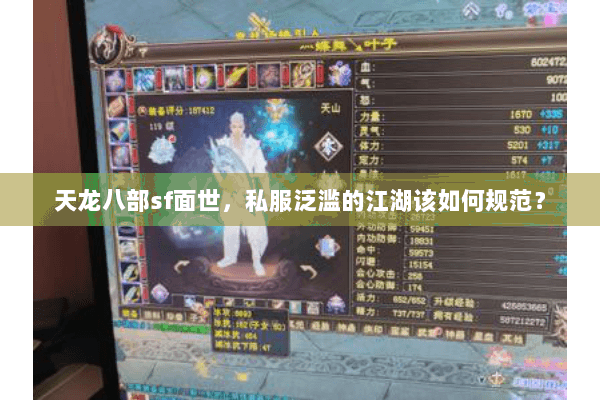 天龙八部sf面世,私服泛滥的江湖该如何规范? 天龙八部sf面世,私服泛滥的江湖该如何规范?