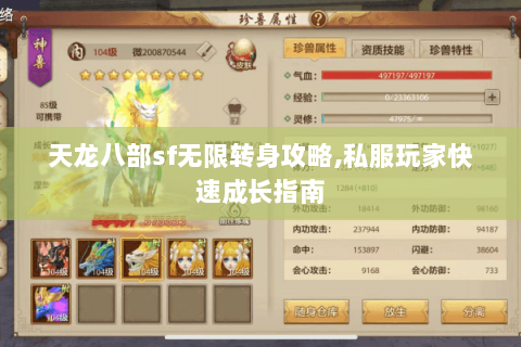 天龙八部sf无限转身攻略,私服玩家快速成长指南