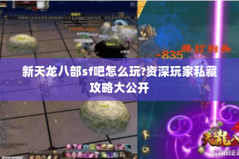新天龙八部sf吧怎么玩?资深玩家私藏攻略大公开 新天龙八部sf吧怎么玩?资深玩家私藏攻略大公开